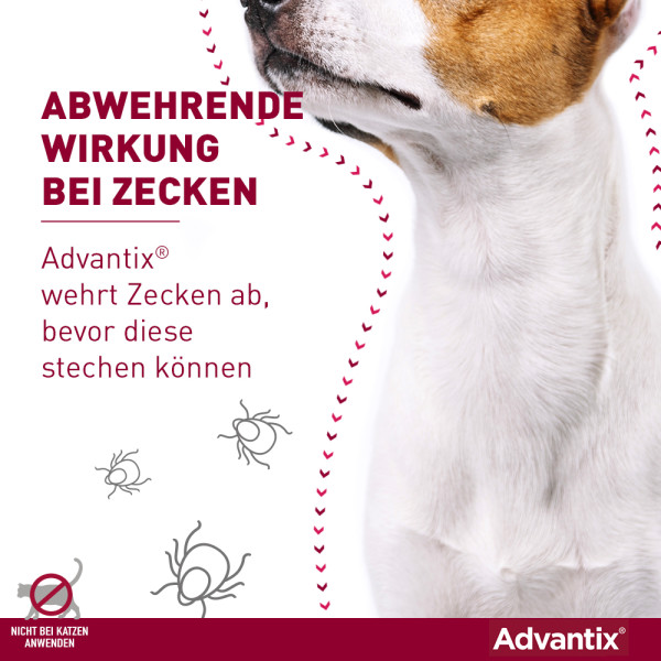 ADVANTIX Spot-on Lsg.z.Auftr.a.d.H.f.Hund 10-25 kg