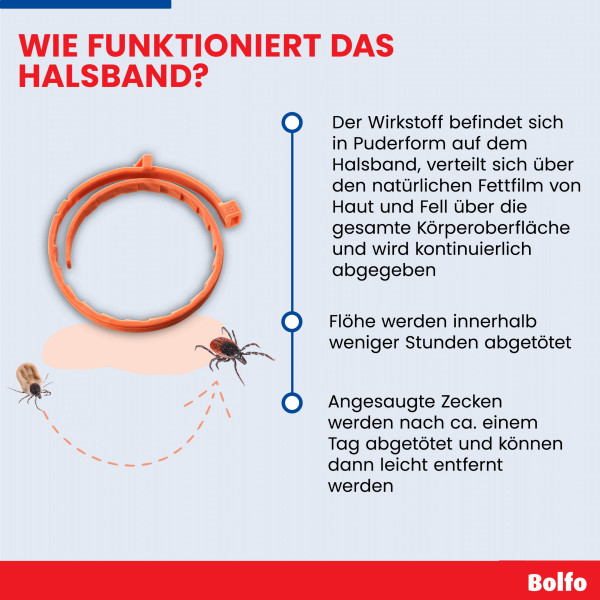 BOLFO Flohschutzband braun f.kleine Hunde/Katzen