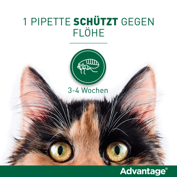 ADVANTAGE 40 mg Lsg.f.kl.Katzen/kl.Zierkaninchen