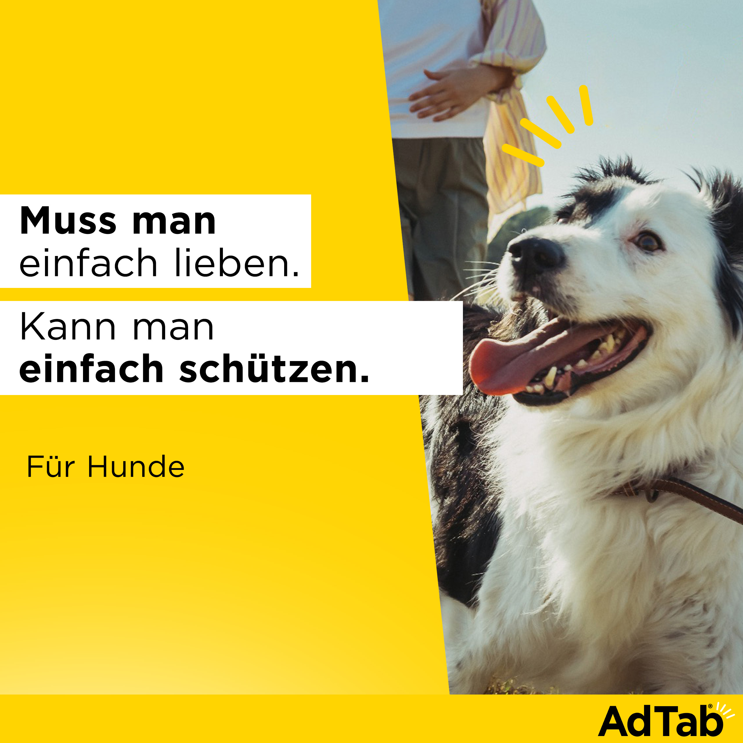 ADTAB 112 mg Kautabletten für Hunde >2,5—5,5 kg
