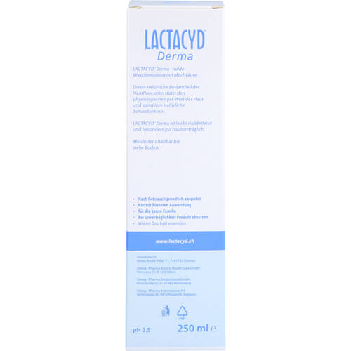 LACTACYD Derma Waschsyndet