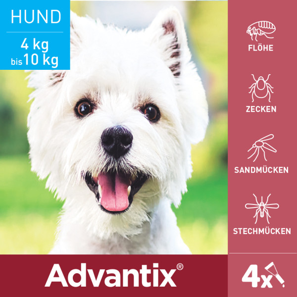 ADVANTIX Spot-on Lsg.z.Auftr.a.d.H.f.Hund 4-10 kg