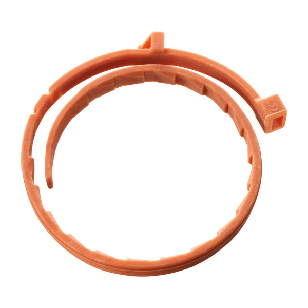 BOLFO Flohschutzband braun f.kleine Hunde/Katzen