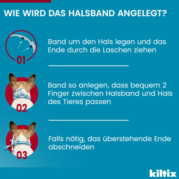 KILTIX Halsband f.große Hunde
