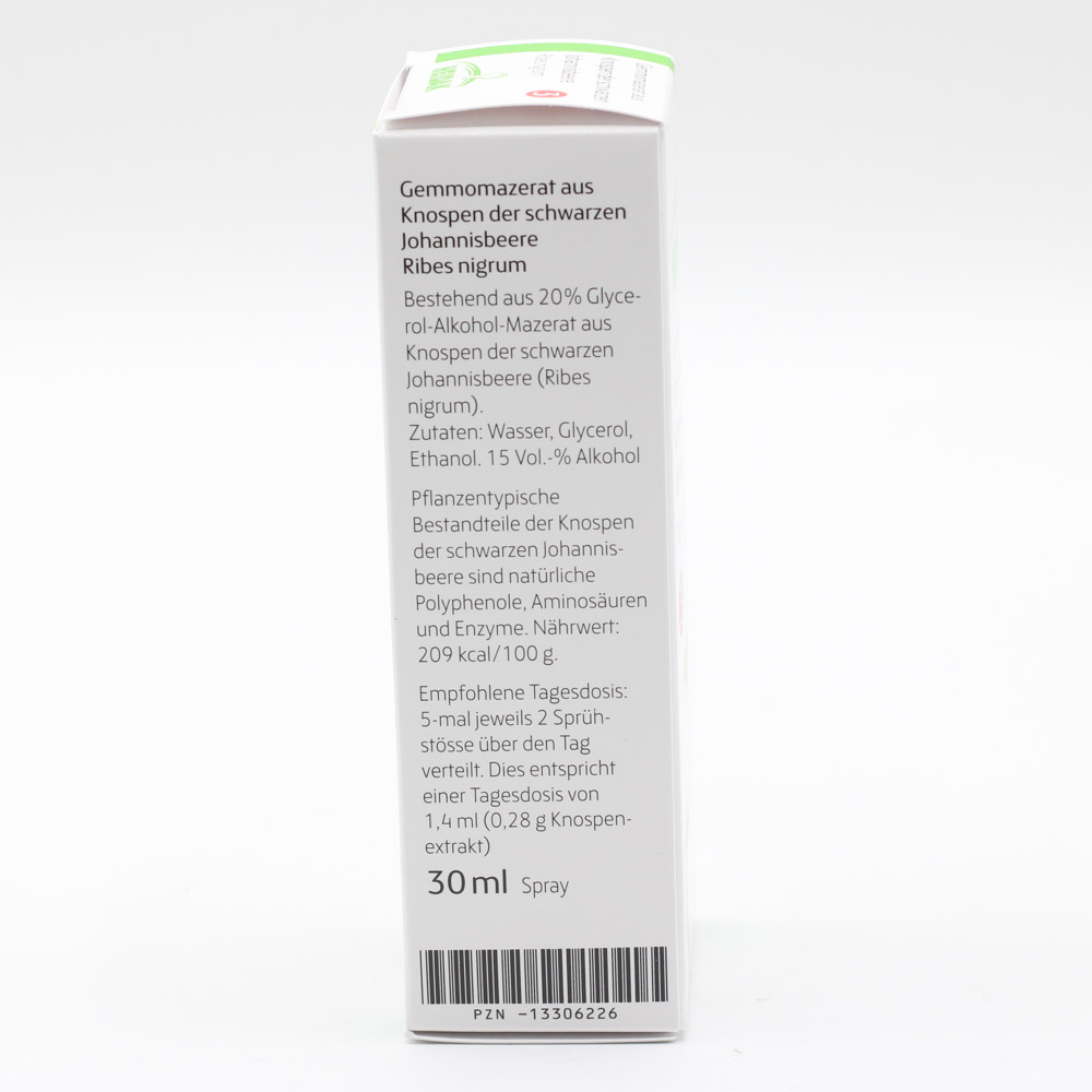 GEMMO-MAZERAT Ribes nigrum Spray