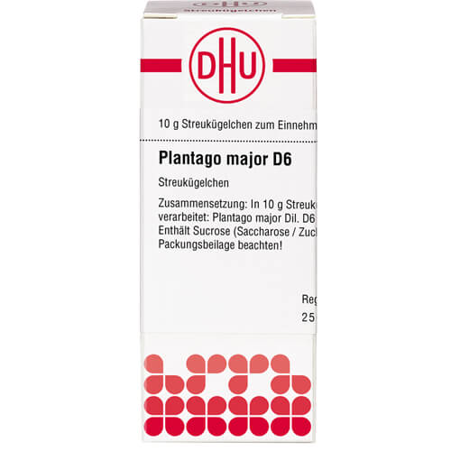 PLANTAGO MAJOR D 6 Globuli