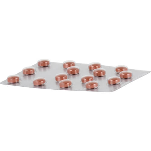 GINKOBIL-ratiopharm 80 mg Filmtabletten