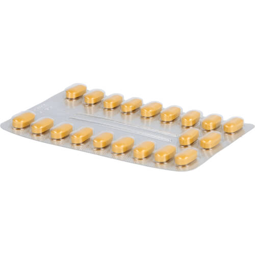 TEBONIN intens 120 mg Filmtabletten